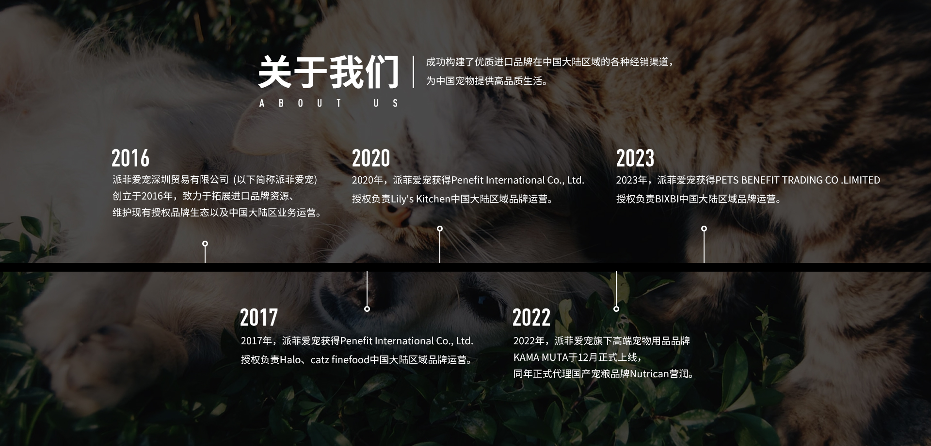 阿萨斯